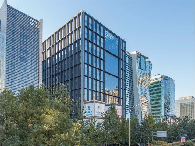 工地农业爬山虎销售方法